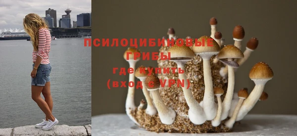 скорость Богородицк