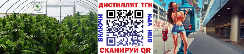 Дистиллят ТГК гашишное масло  где продают   Киреевск 