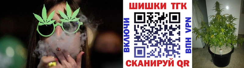 Шишки марихуана гибрид  где найти наркотики  Киреевск 